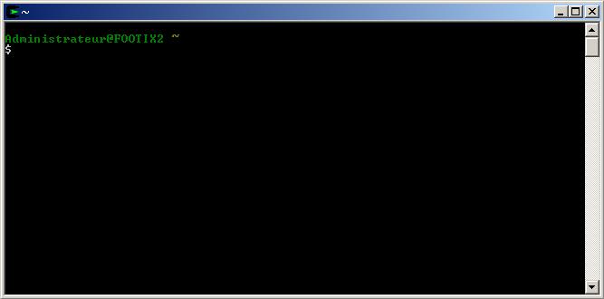 La console Cygwin