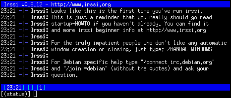 Irssi à son lancement