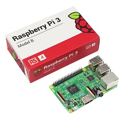 raspberry